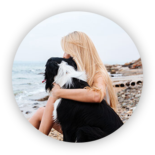 greenfield groves, lindsay giguiere, account preference settings, felicitails