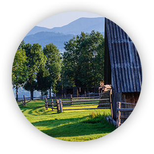 greenfield groves, lindsay giguiere, account preference settings, greenfield grows